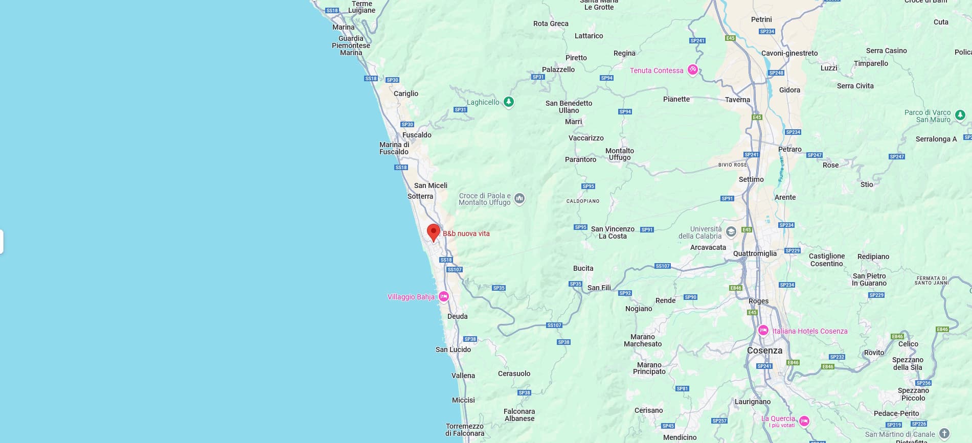 Google Map